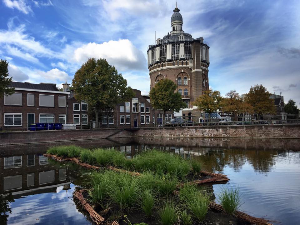 Zeggeneiland